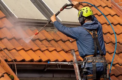 Démoussage et hydrofuge de toiture à Burzy